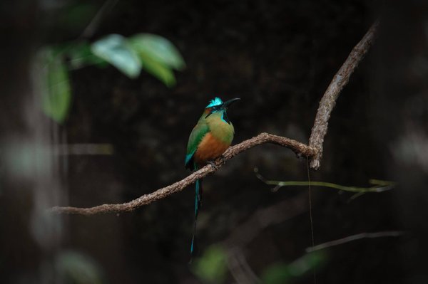 Le pouvoir des mots : comment choisir les bons mots-clés pour optimiser votre visibilité en ligne