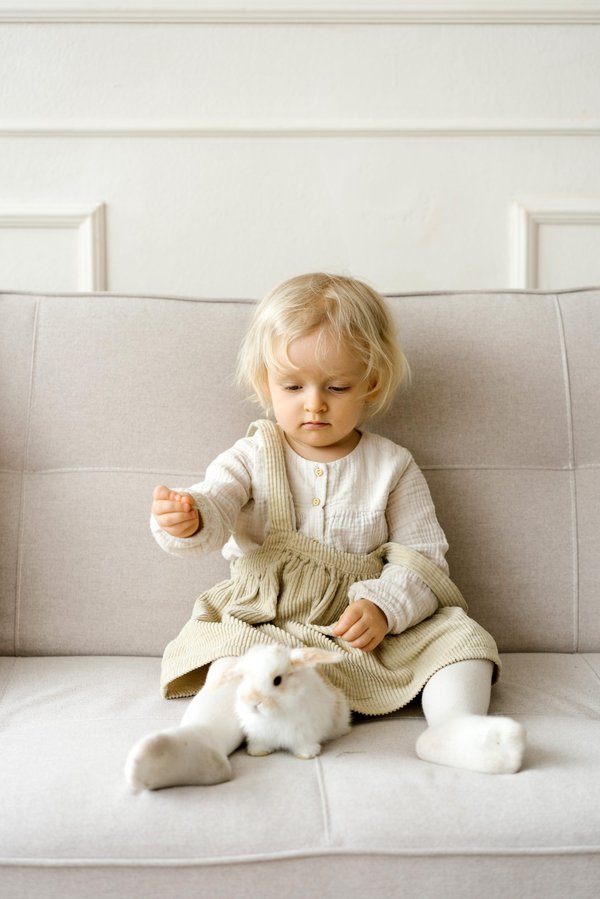 Quand un lapin accouche ?