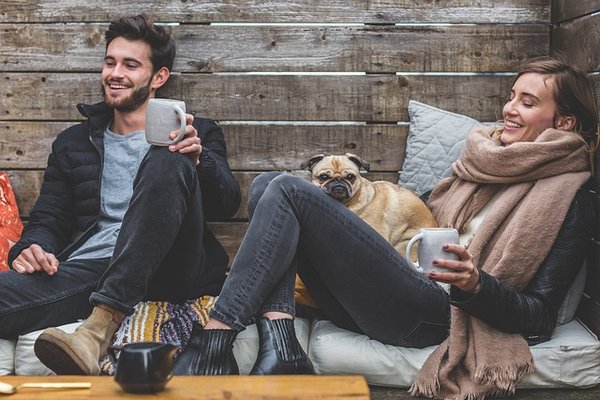 Adoption de chien d'appartement : que faut-il retenir ?